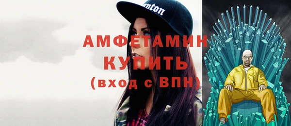 стаф Алзамай