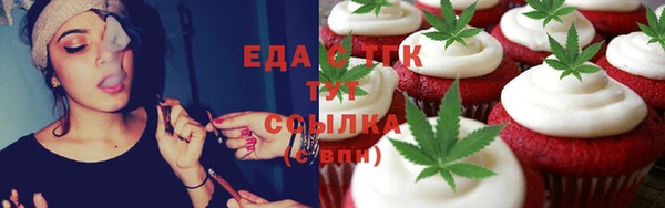 стаф Алзамай
