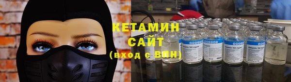 стаф Алзамай