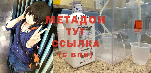 стаф Алзамай