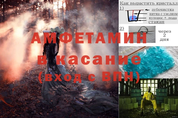 стаф Алзамай